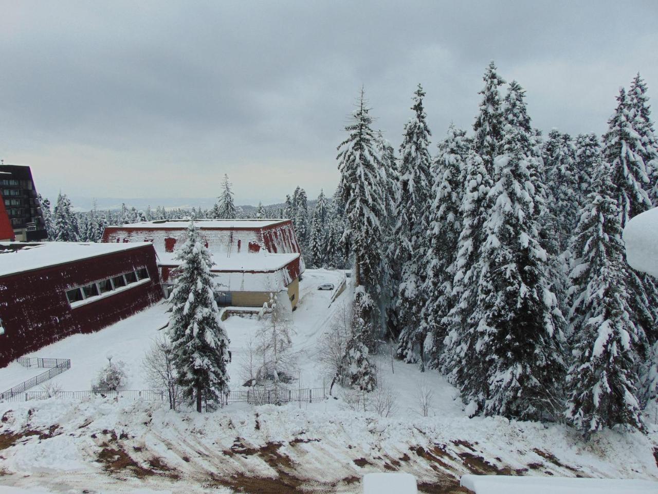Ski Apartment Boyika Iglika 2 Borovets Exterior foto